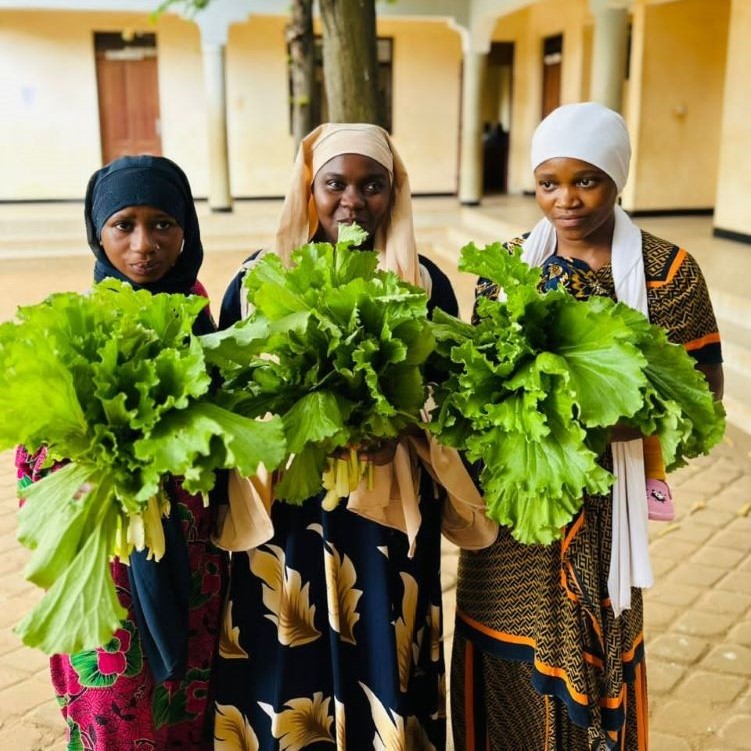 Income-generating gardening project, Tanzania.