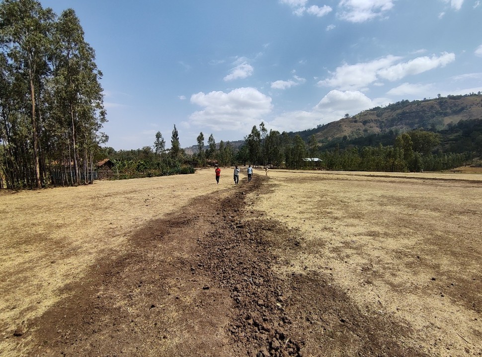 The area in the middle of this photo is where the water tube is buried underneath. 