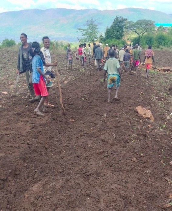 The community digging trenches to put in a water tube. They come together to dig these trenches for water tubes.